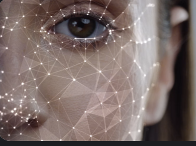 Project Logo for Deep Face Verification with CNNs